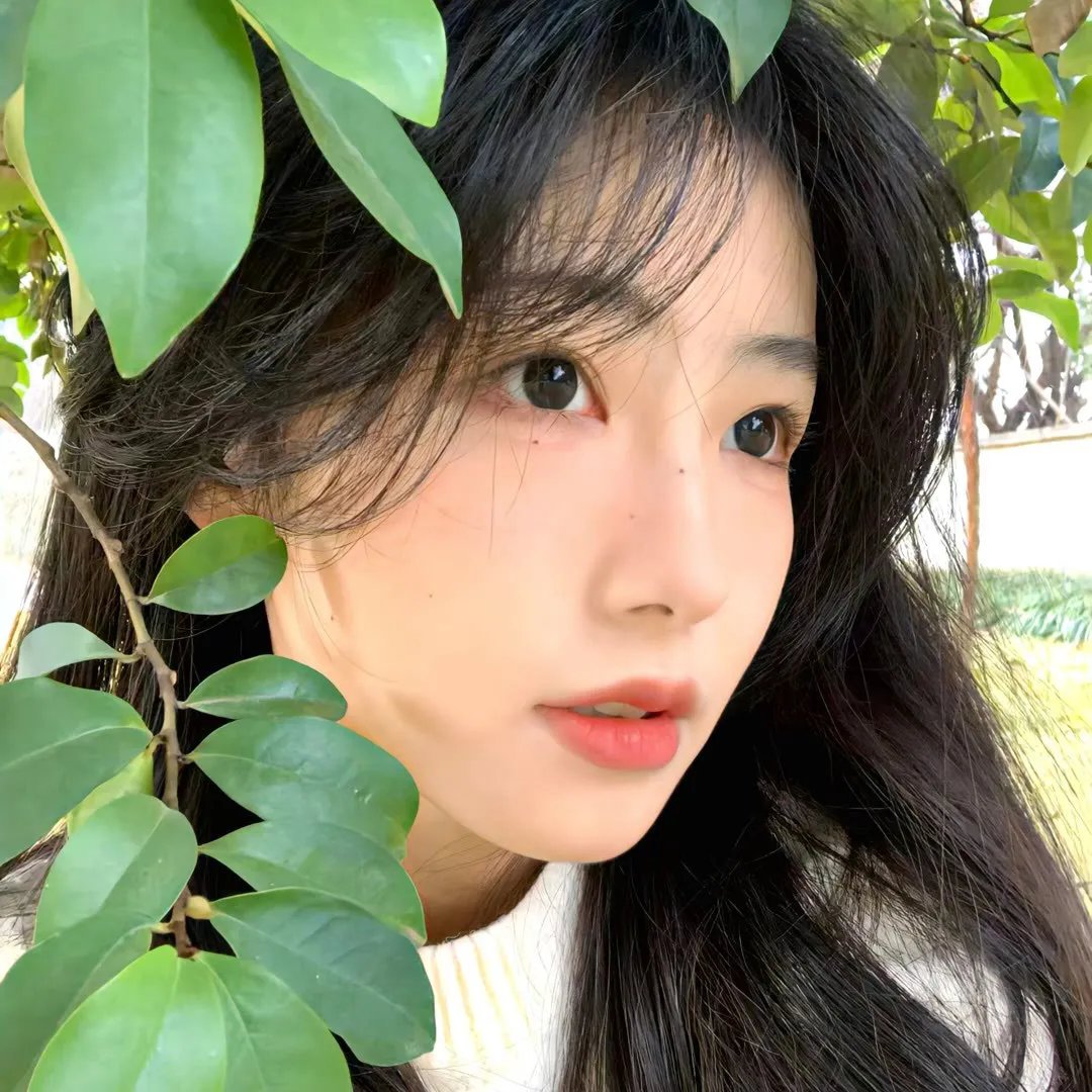寻觅海报